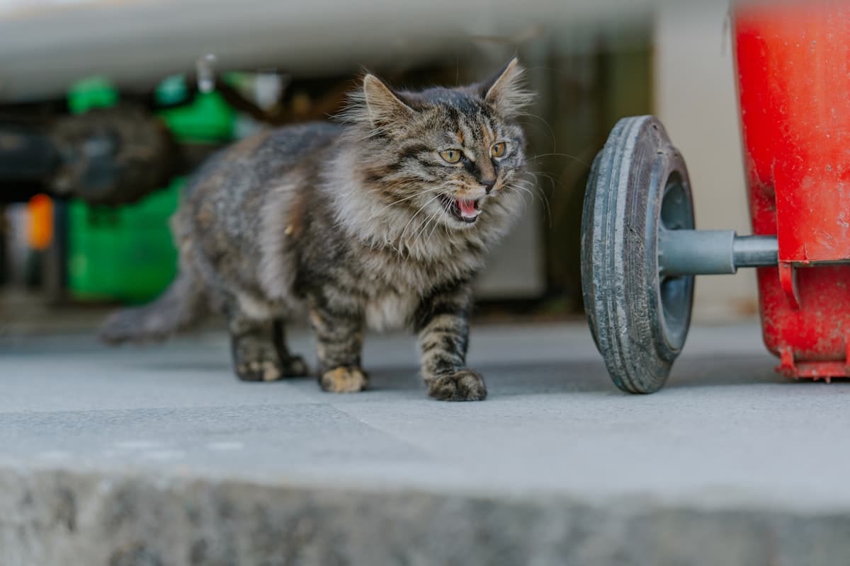 Beginner lifter writing in a simple gym logbook on a bench between sets