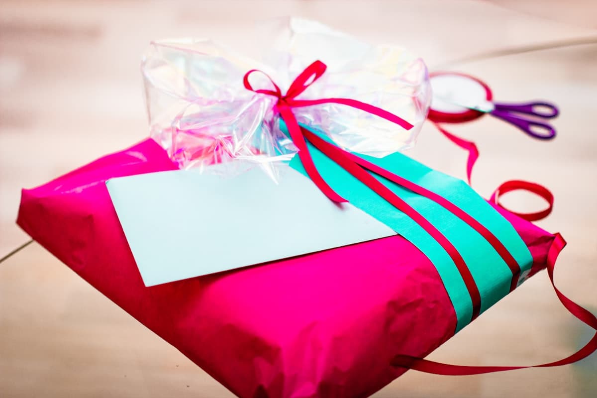 Gift-wrapped fitness journal with holiday presentation