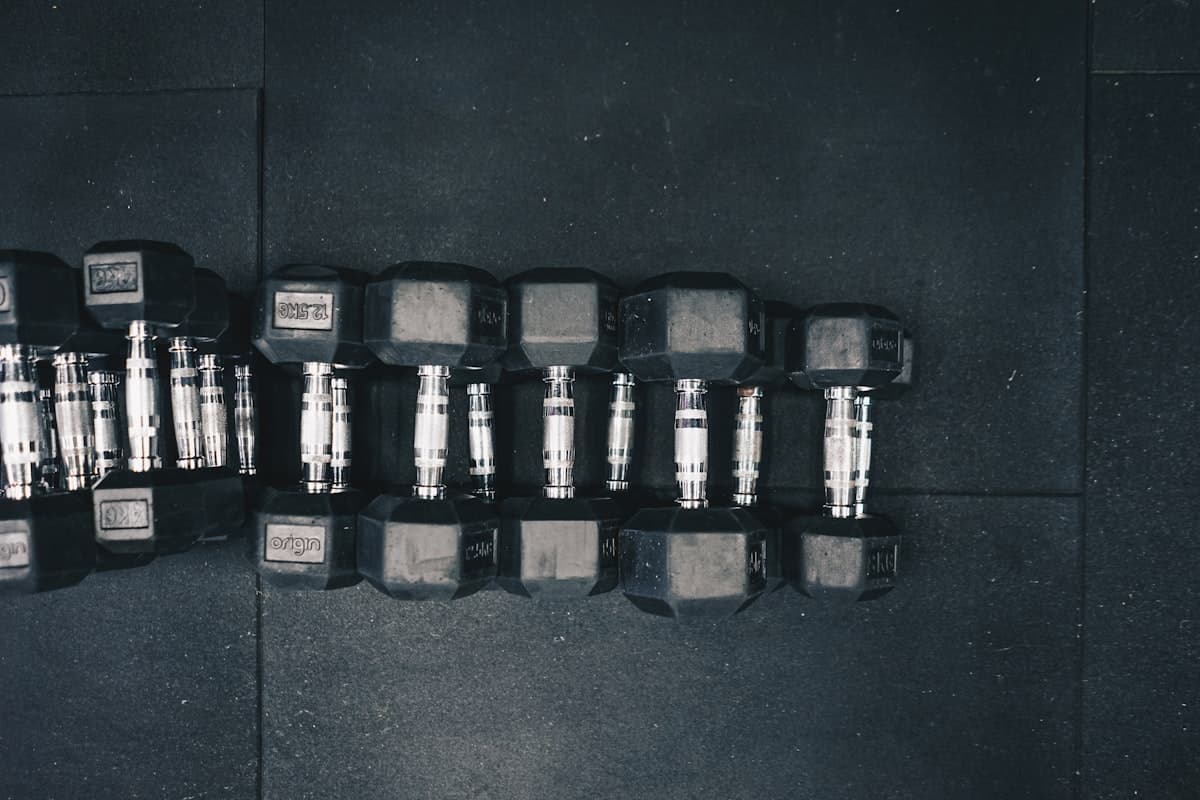 Well-organized open gym bag on a bench showing lifting belt, wrist wraps, shaker bottle, logbook, and chalk